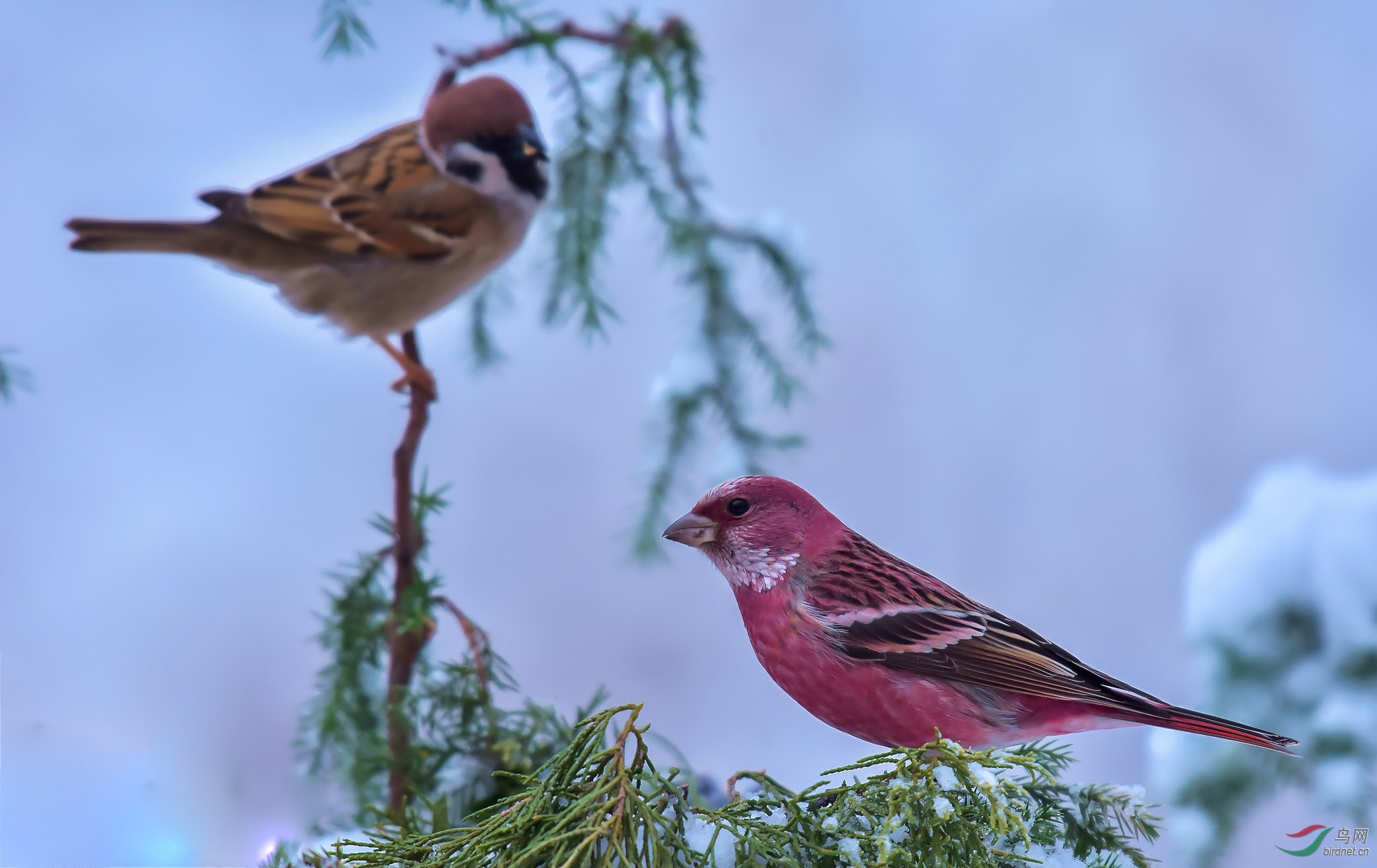 DSC_4284_����.jpg