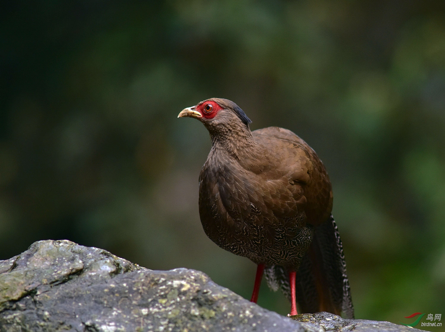 D8I_2767.jpg