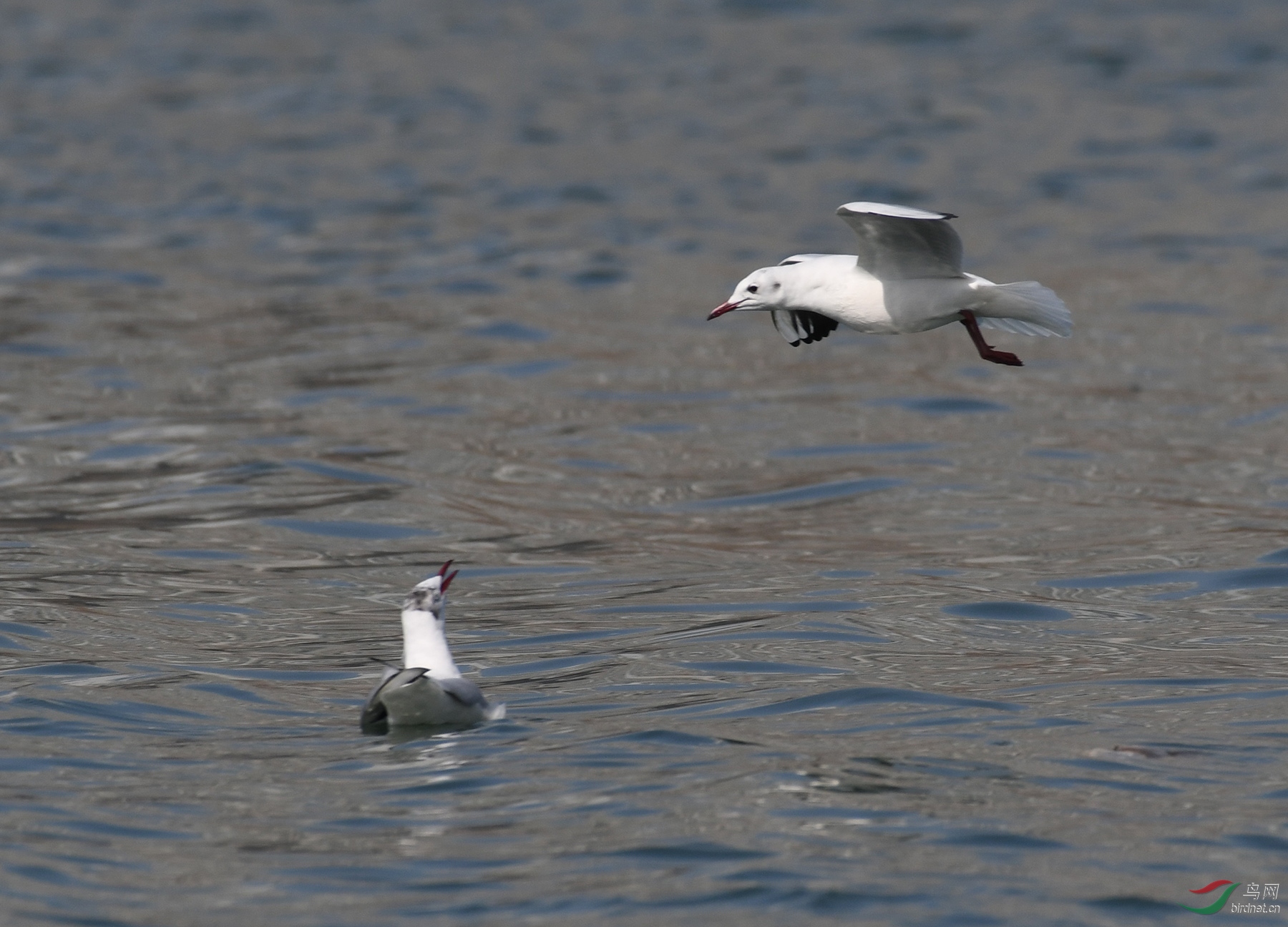 ������Ӱ 1810����.jpg