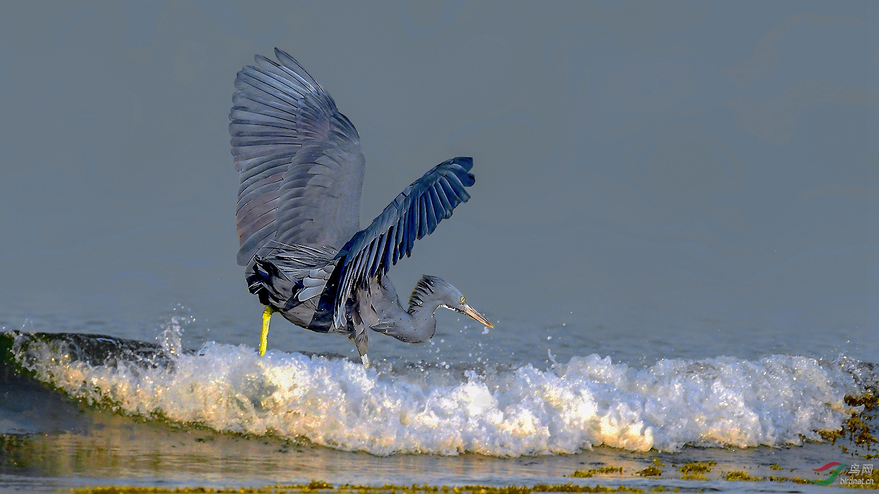 DSC_6347 (6)_����_����_����_����.jpg