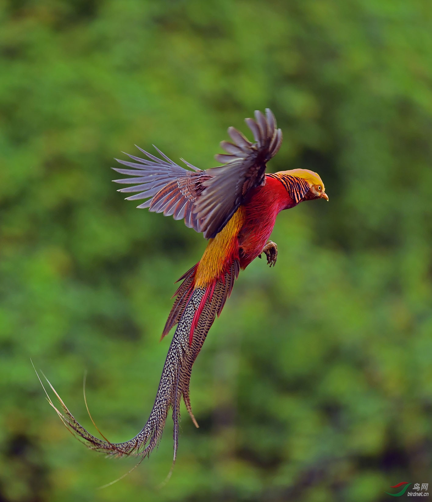 DSC_2681.jpg