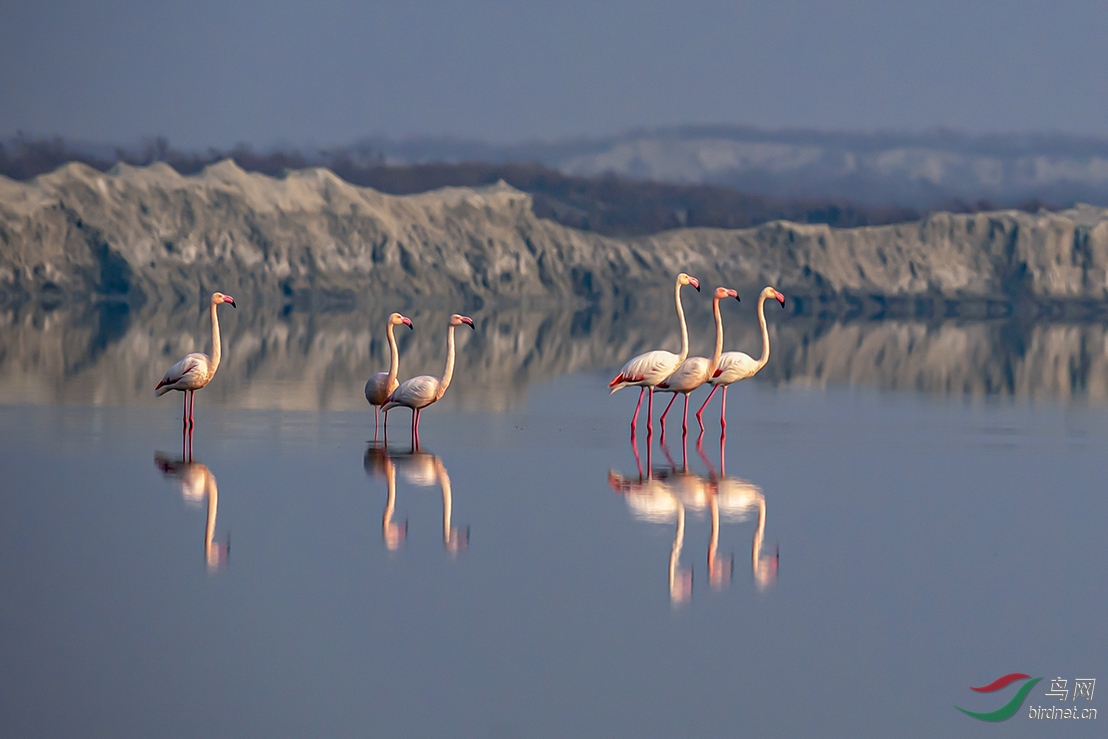 ������ɽ���˳��κ���