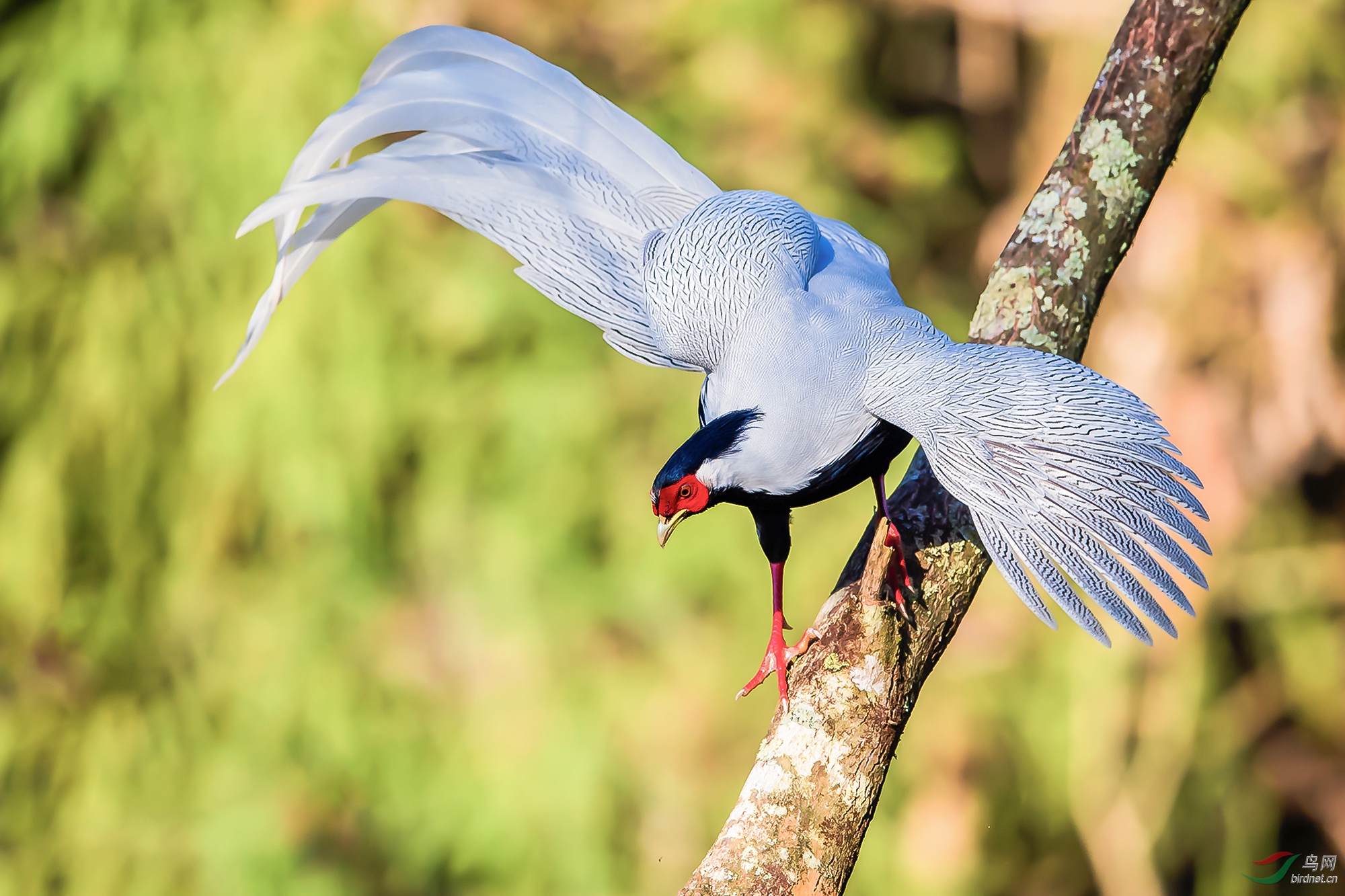 ��ͼ�������·��� (1)�����Ȧf4.5������2500���й��640������600mm��.jpg