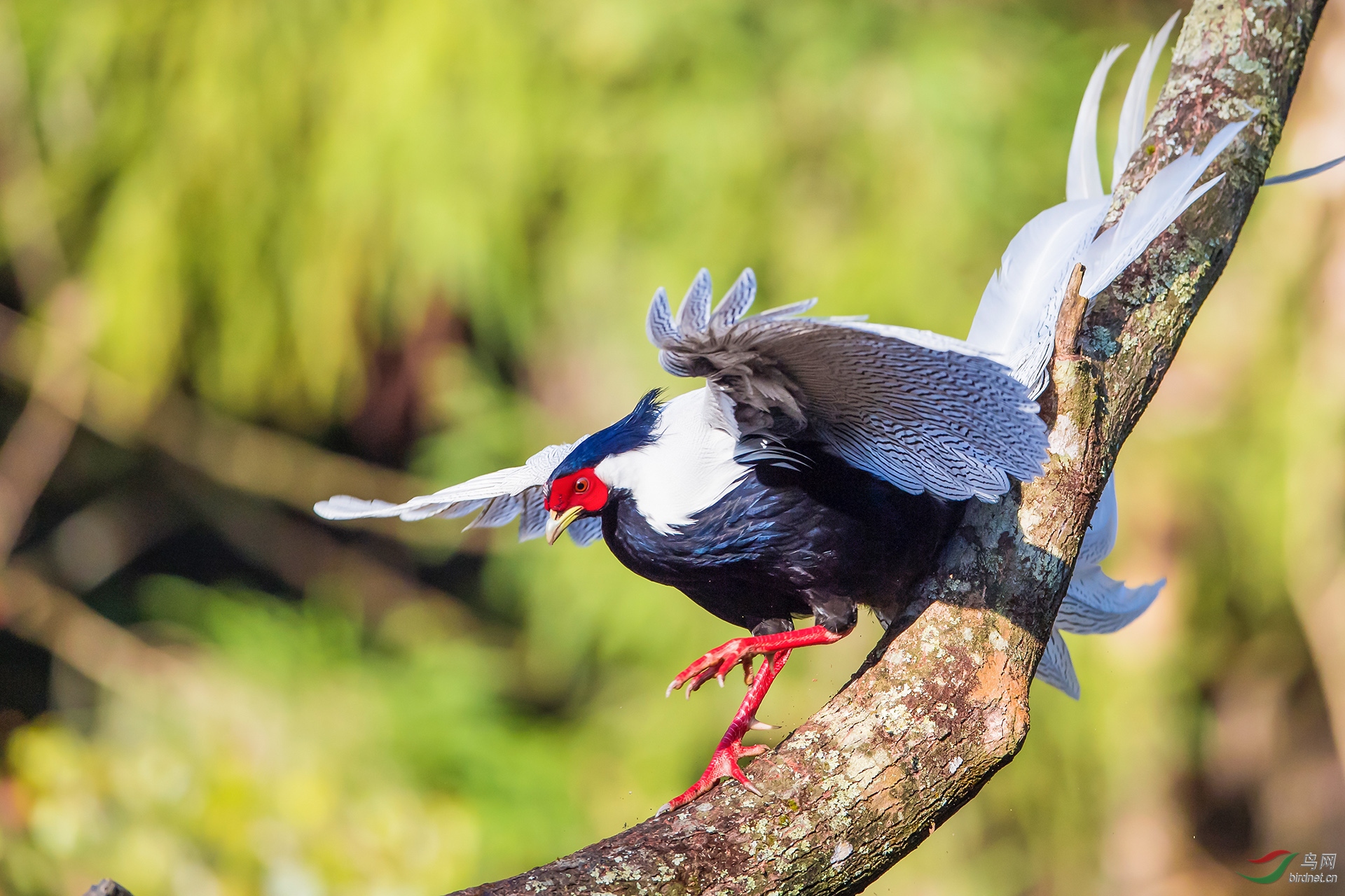 ��ͼ�������·��� (3)�����Ȧf4.5������2500���й��720������600mm��.jpg