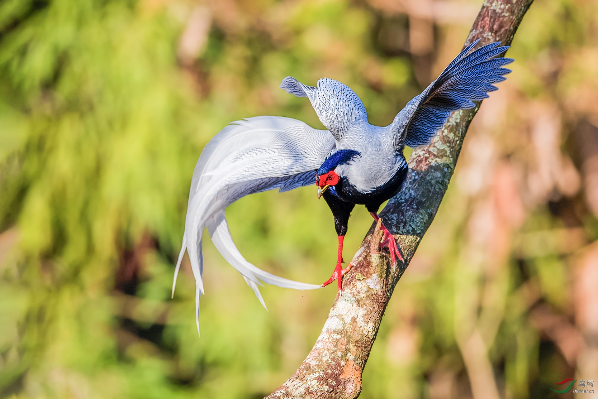 ��ͼ�������·��� (4)�����Ȧf4.5������2500���й��720������600mm��.jpg