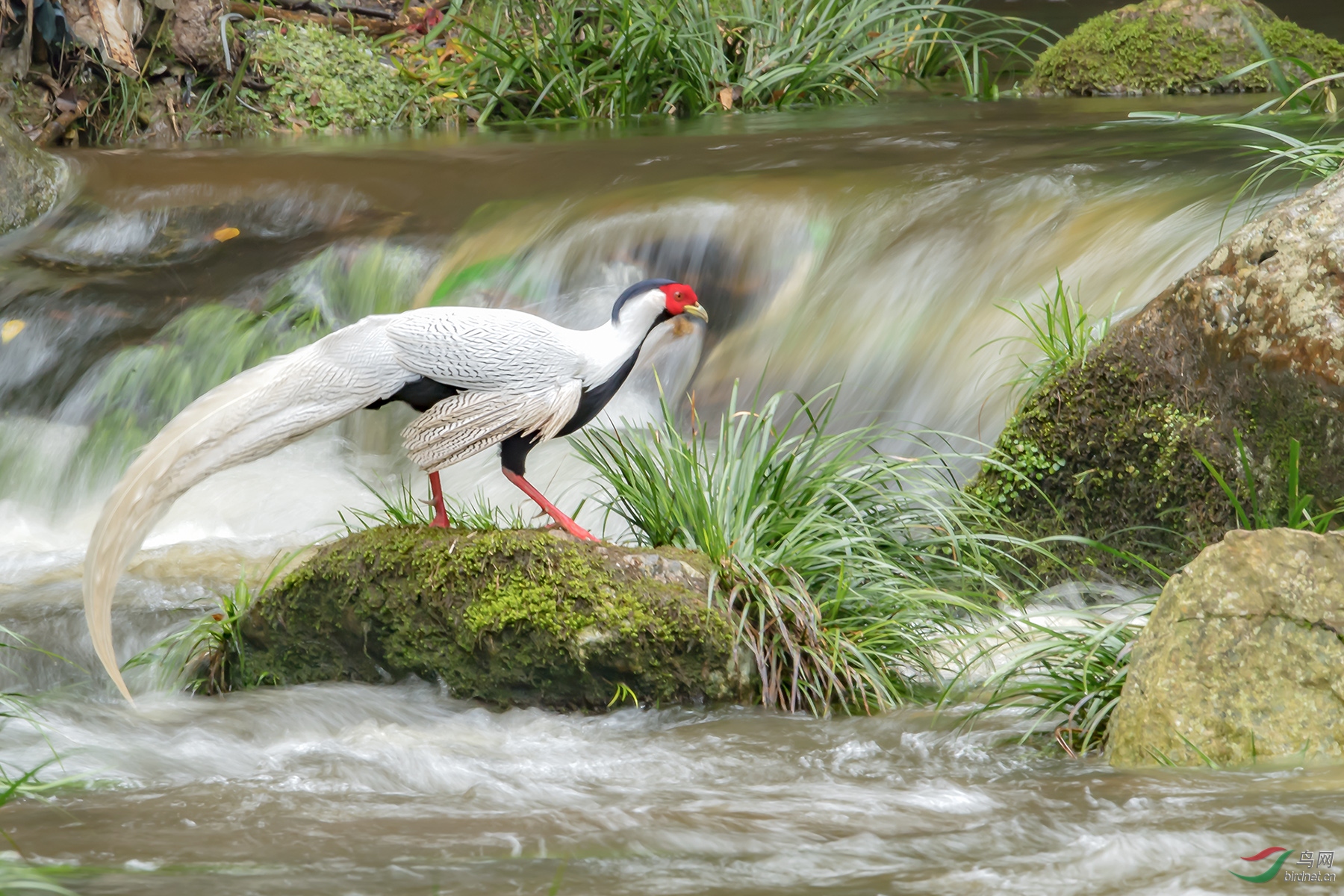 ��ͼ�������·��� (3-1)�����Ȧf22������8���й��100������600mm��.jpg