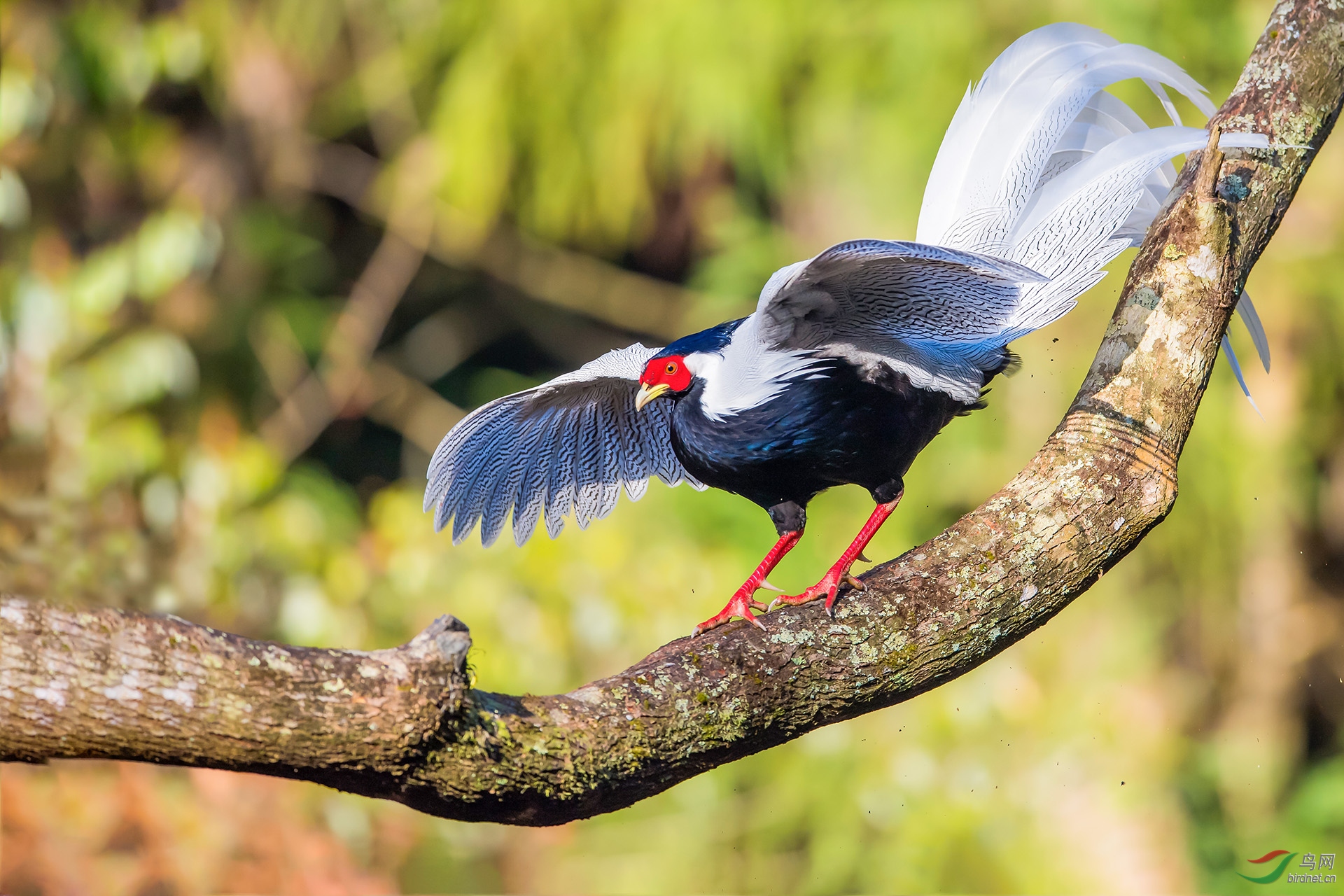 ��ͼ�������·��� (5)�����Ȧf4.5������2500���й��720������600mm��.jpg