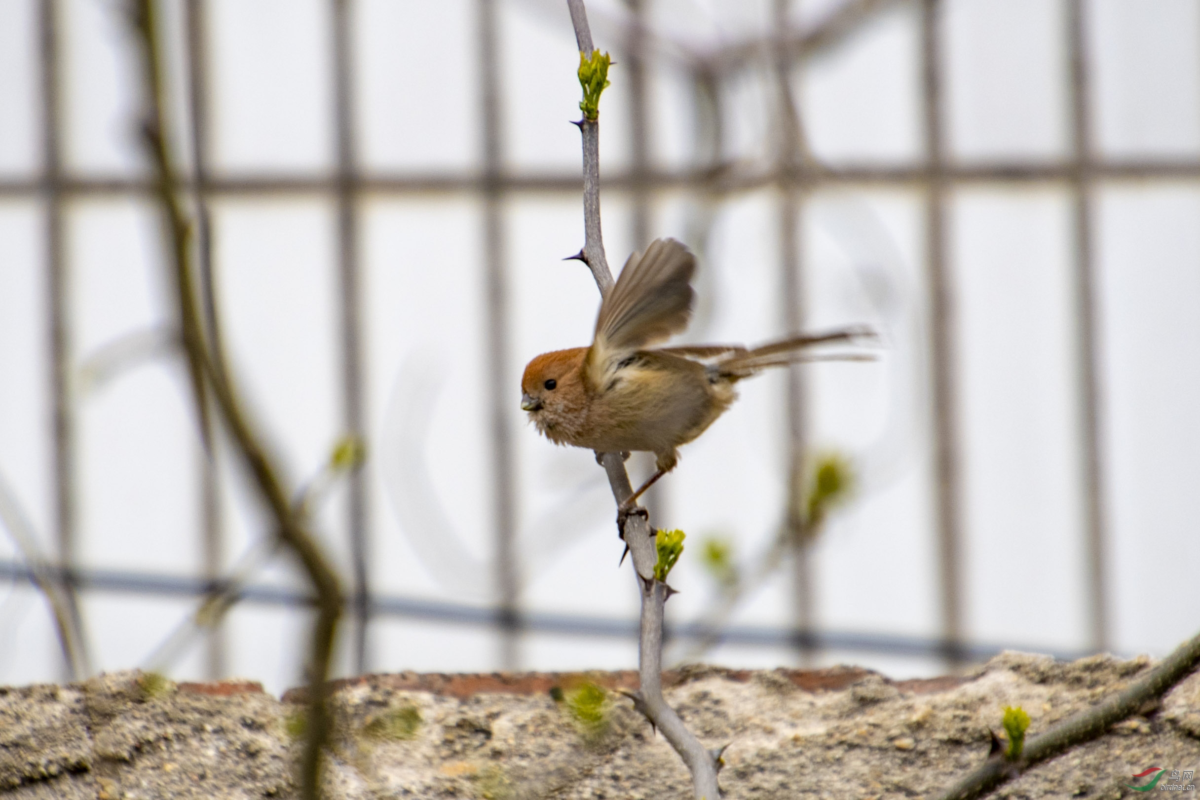 D50_1267.jpg