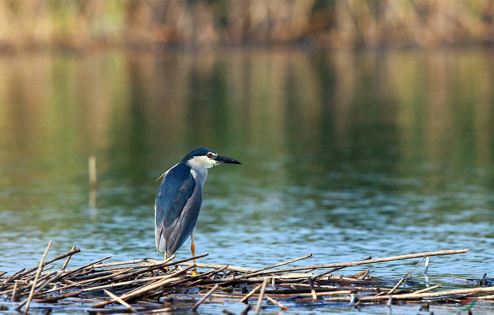 H46R7317_����_���� (2).jpg