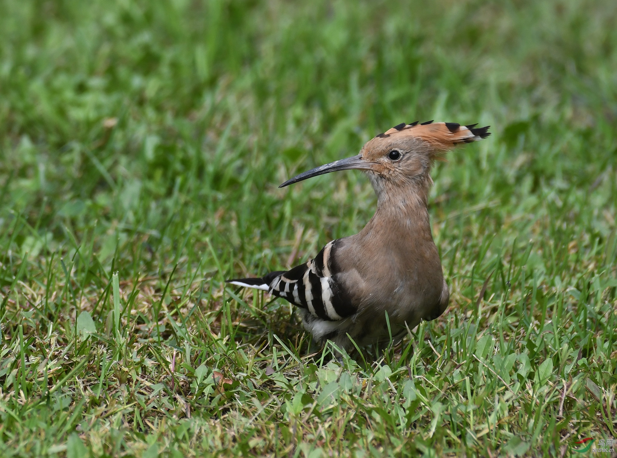 ������Ӱ 857����.jpg