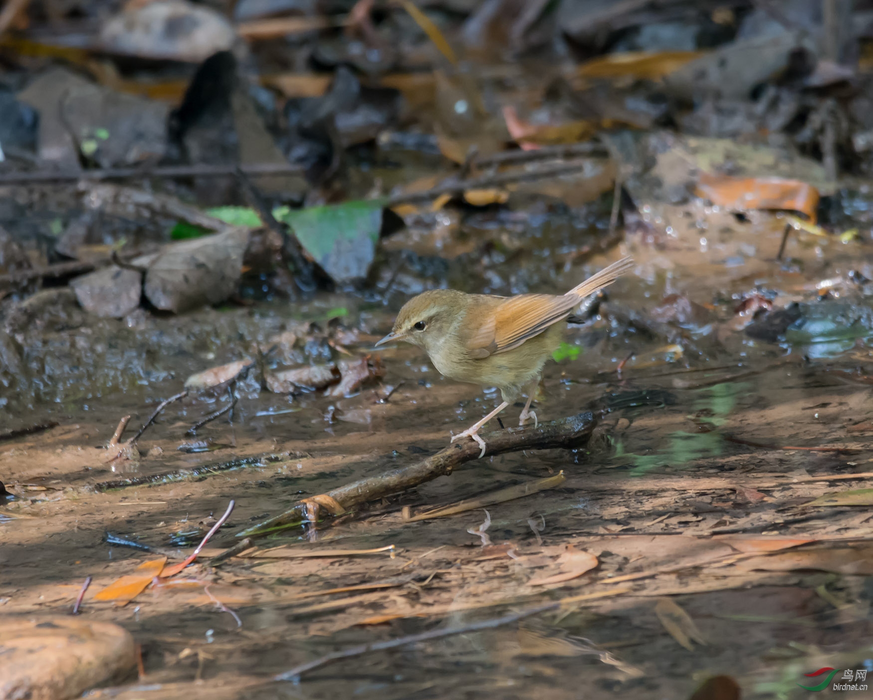 DSC_6660.jpg