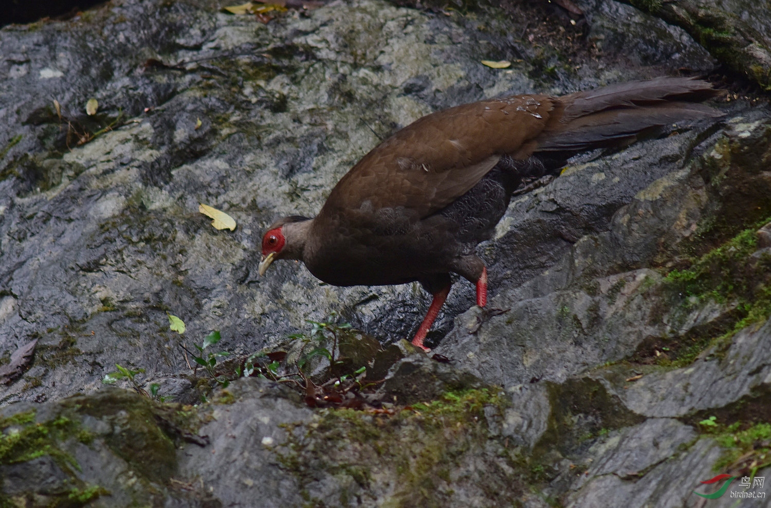 D8I_4900.jpg