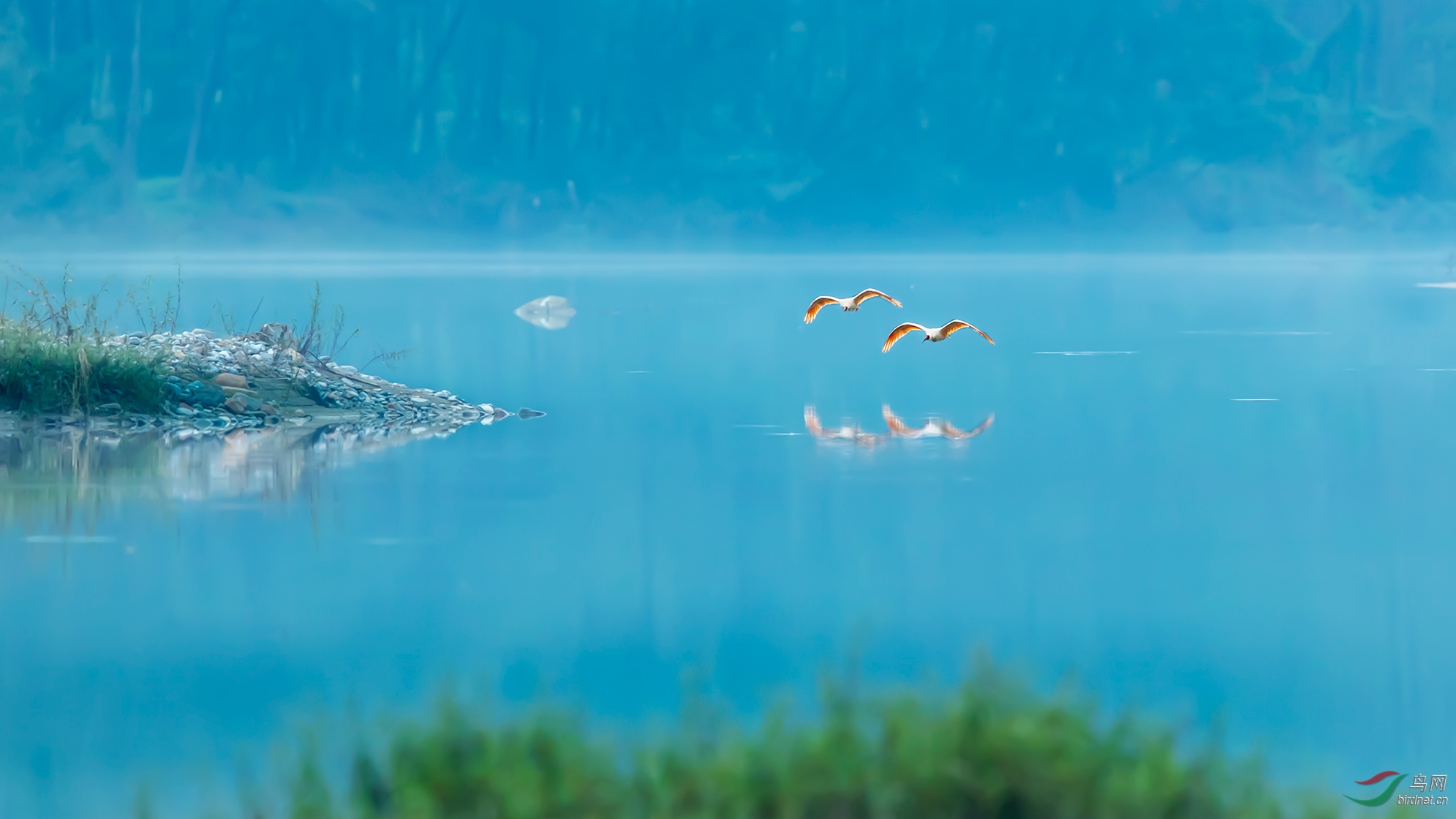 A81I9675-1.jpg