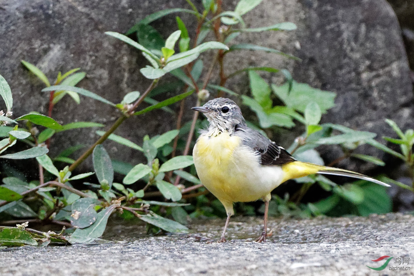 IMG_5867_DxO-2.jpg