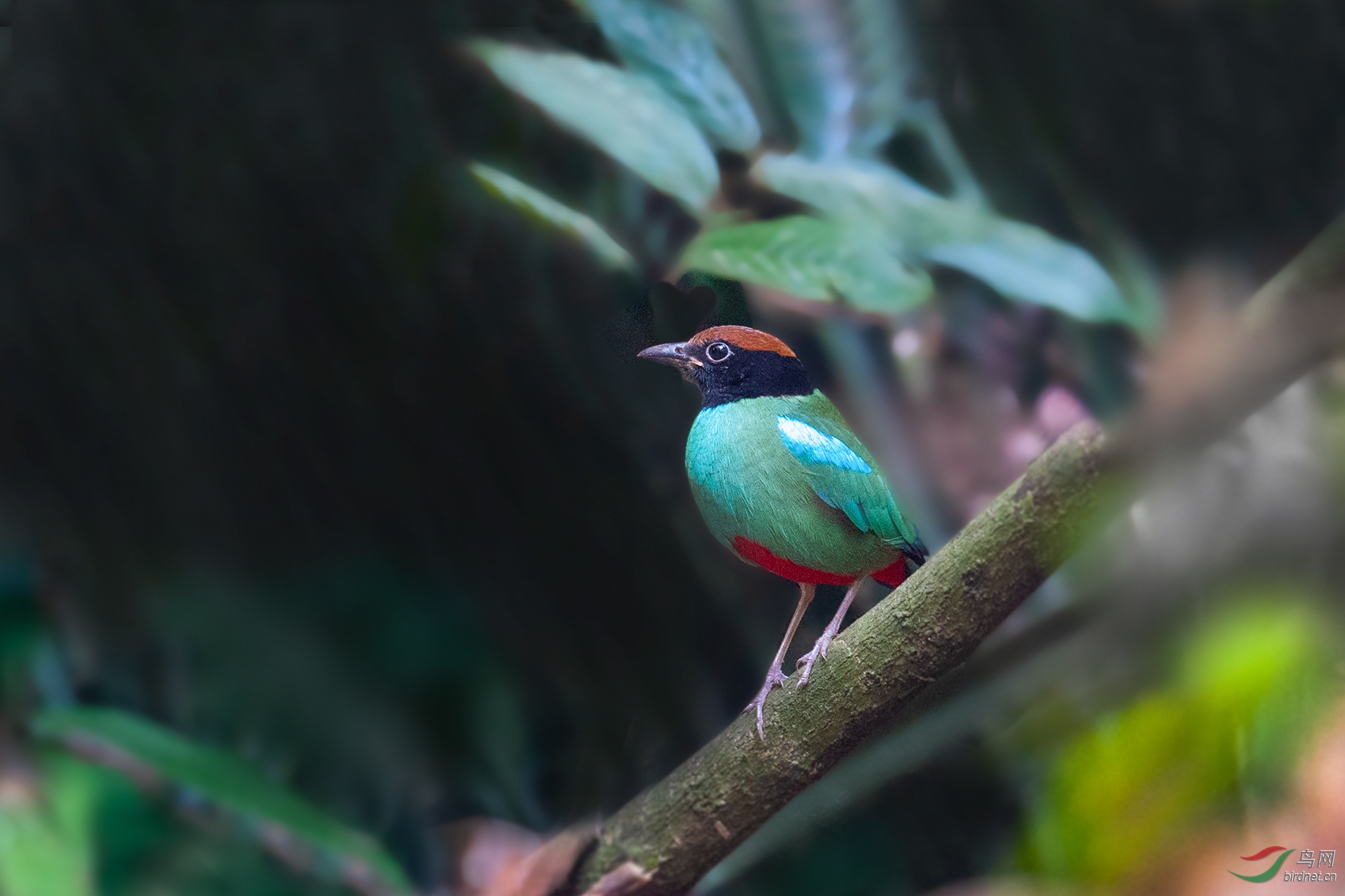 DSC_3439.jpg