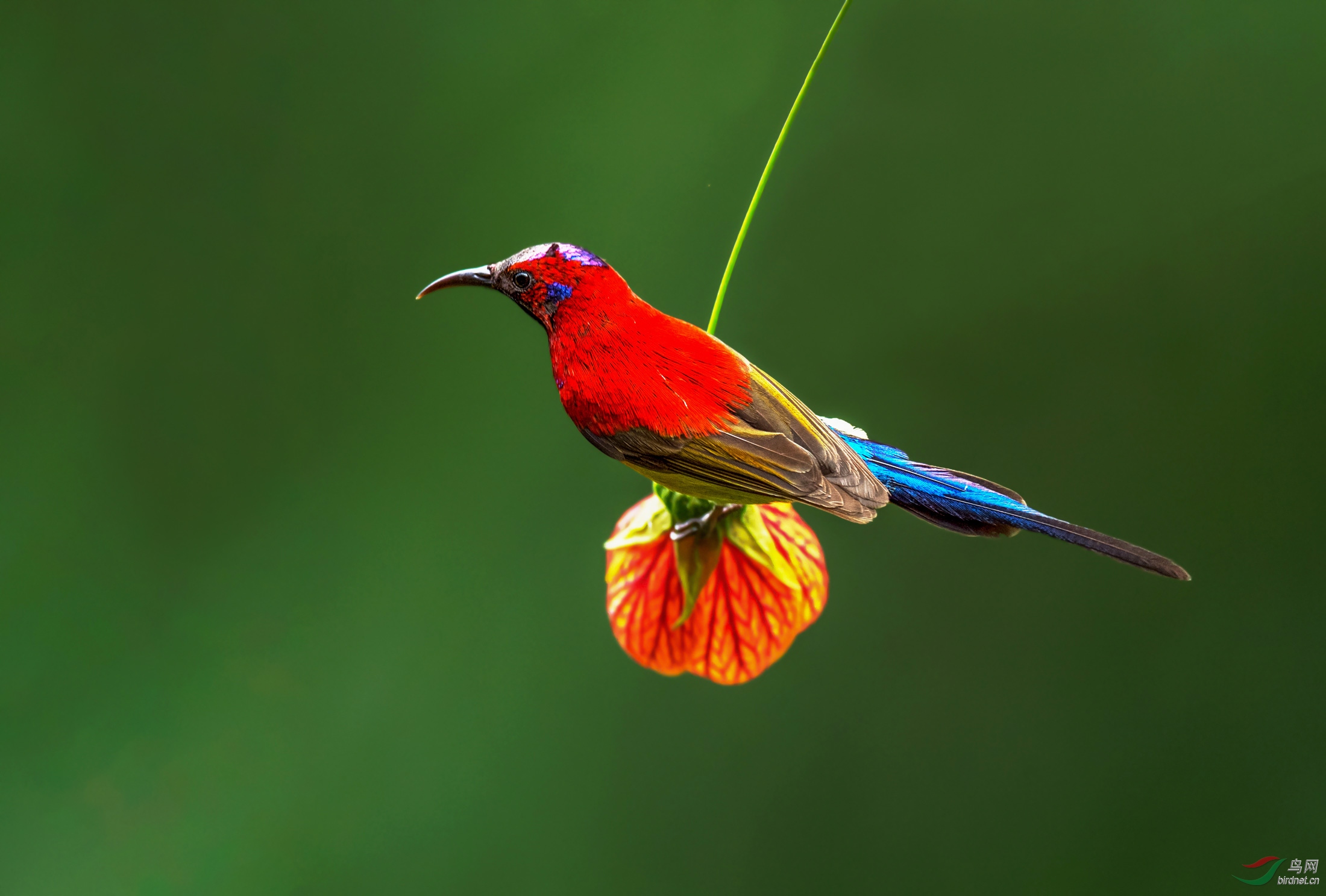 DSC_8043-2.jpg