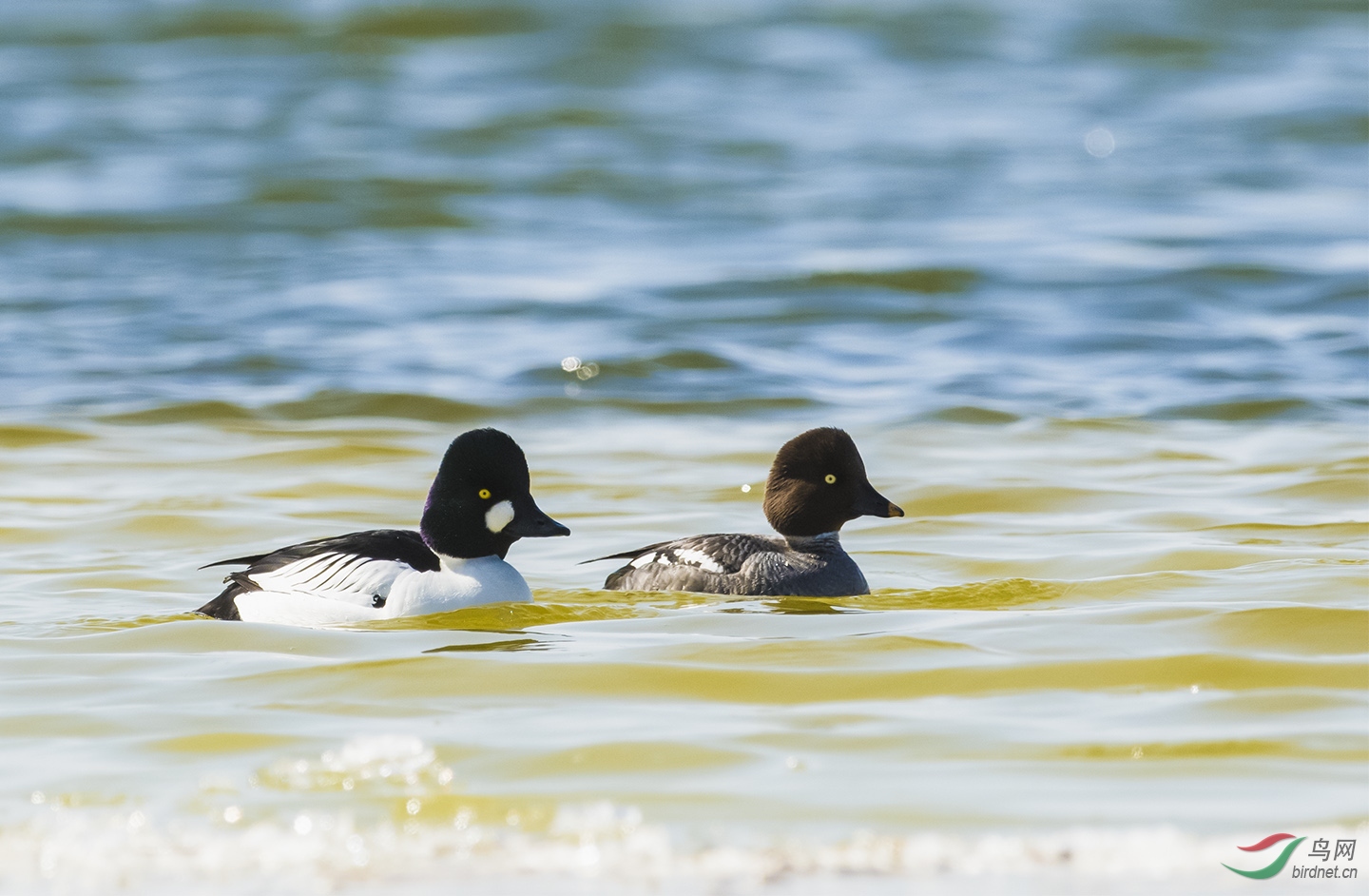 ����ʪ����ȵѼ��Ϸˮ