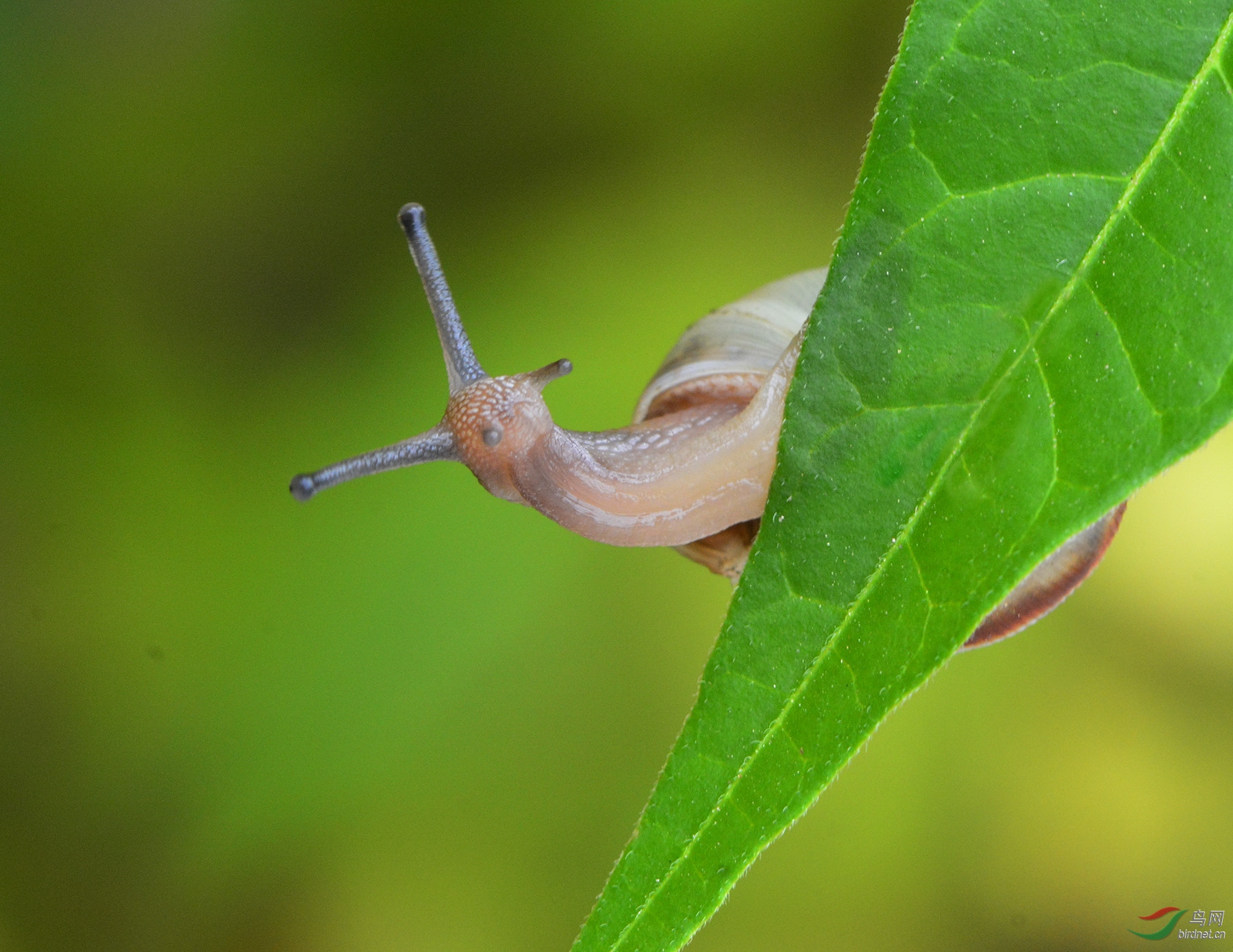 ������Ӱ 458����.jpg