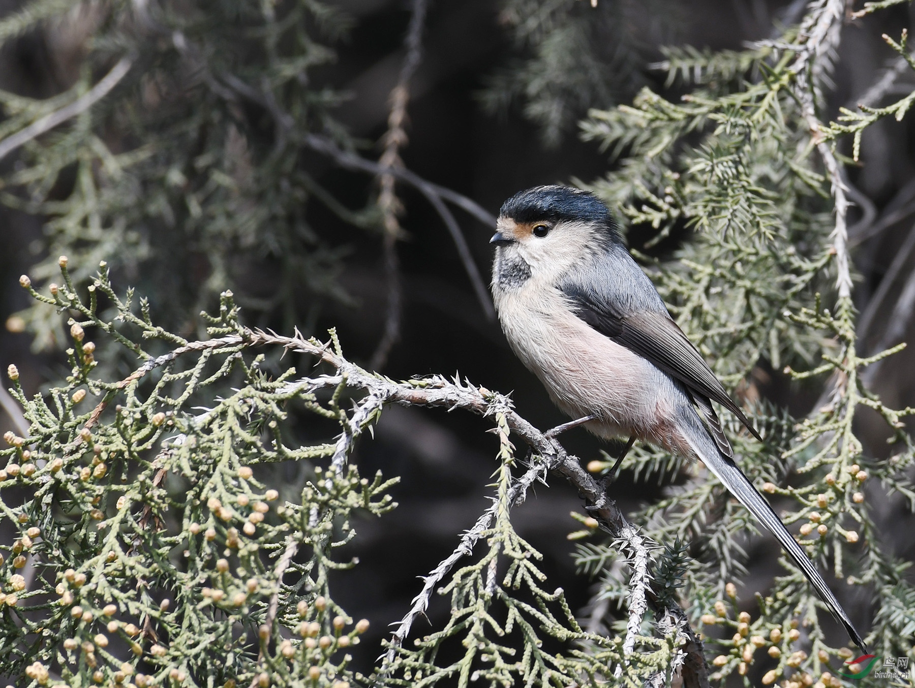 ������Ӱ 319����.jpg