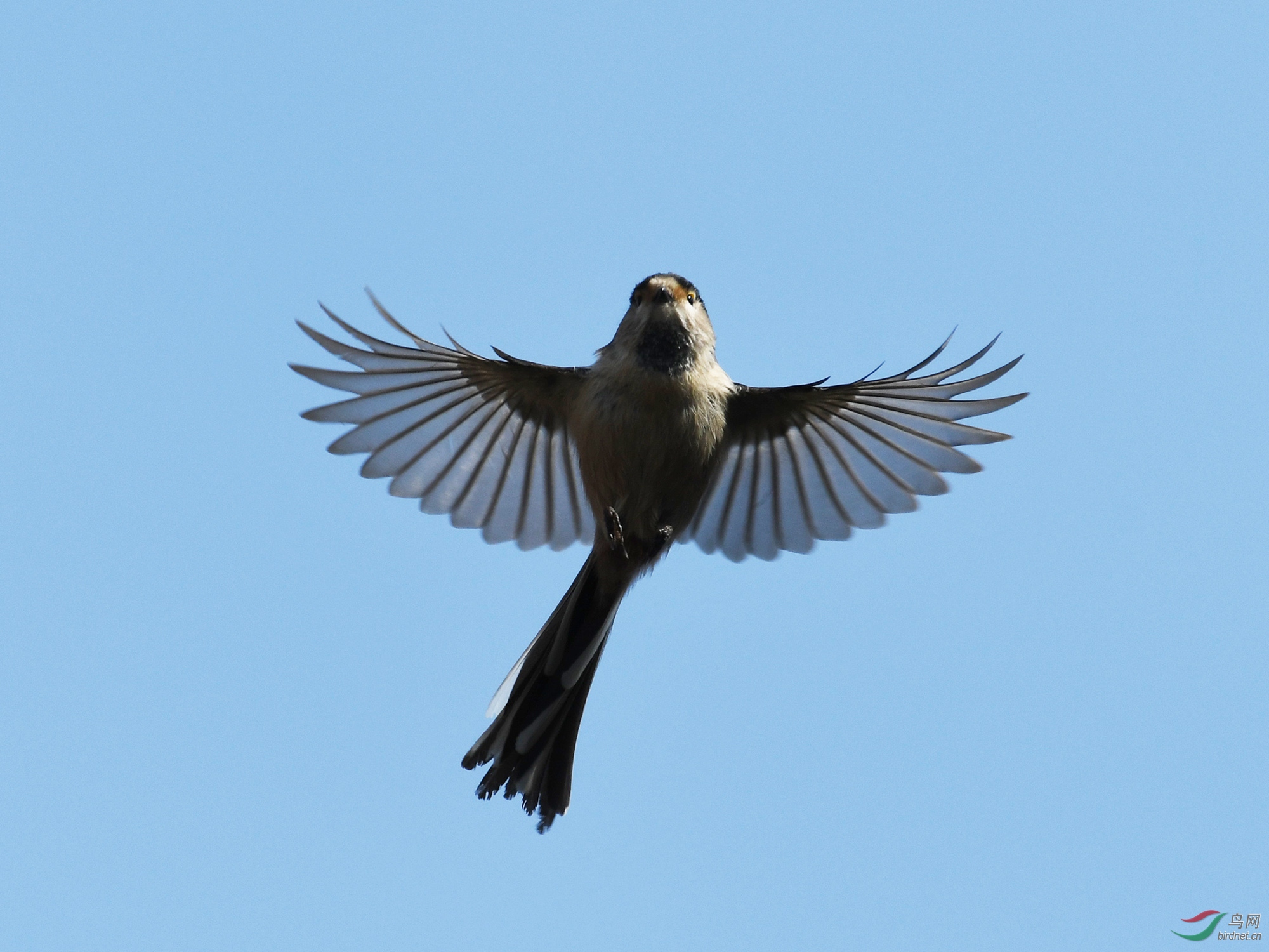 ������Ӱ 187����.jpg