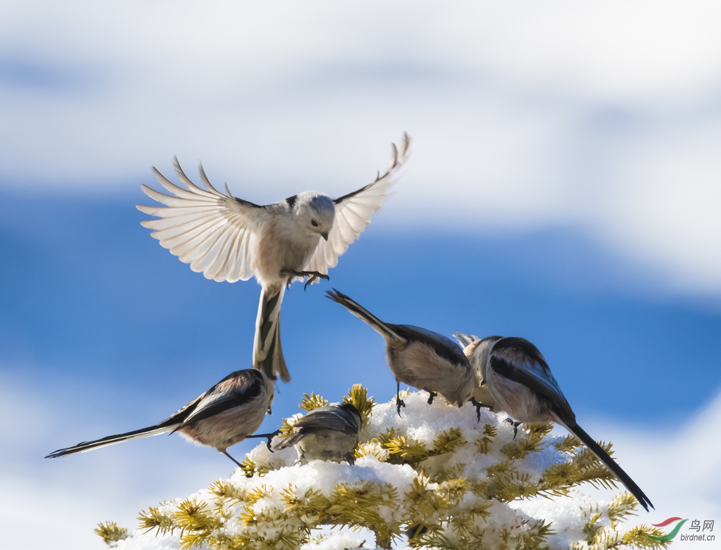 ��������ս���