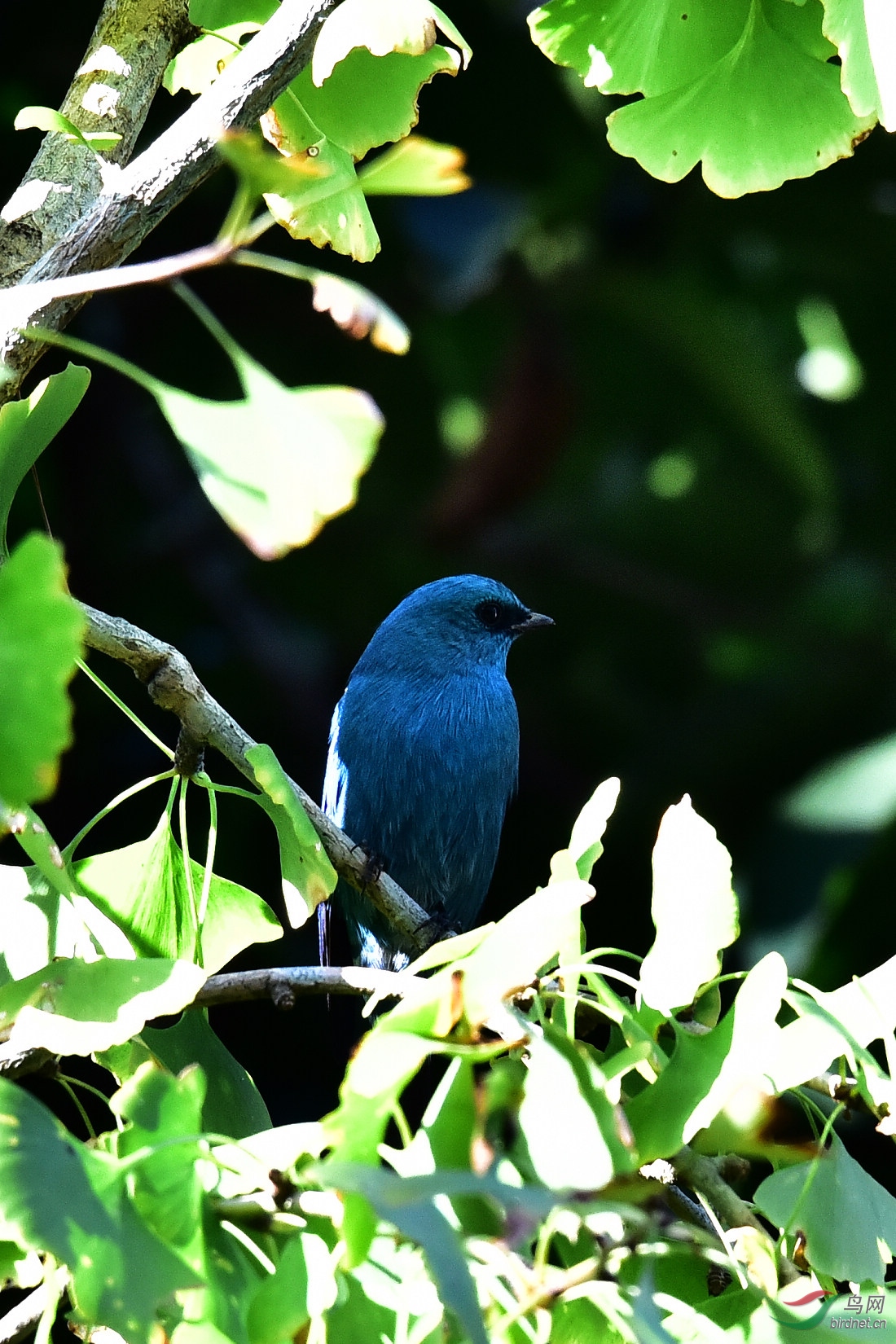 DSC_0309.JPG