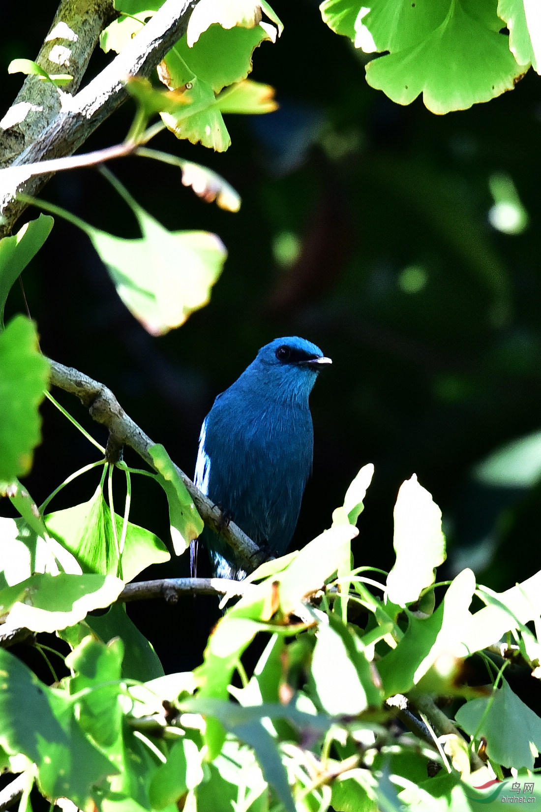 DSC_0310.JPG
