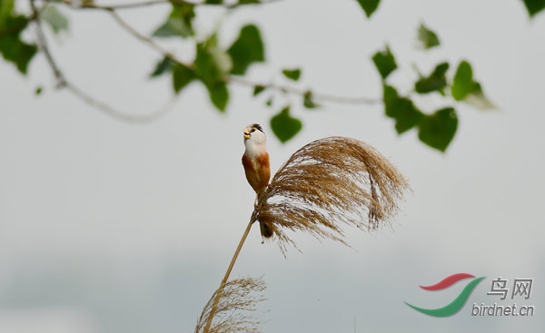 21DSC_3768_����.jpg