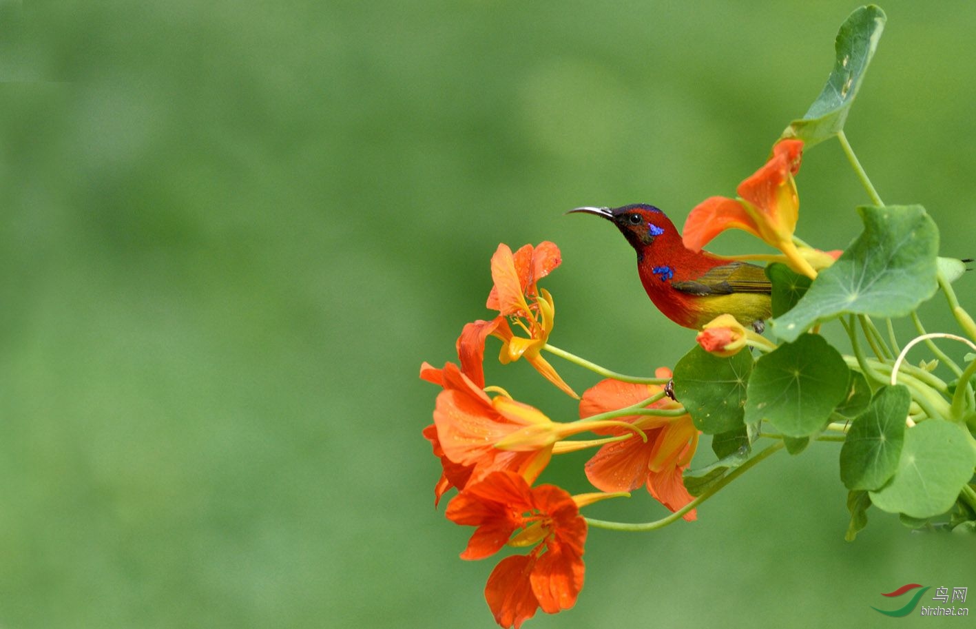 ����Զȥ�����ĵ�