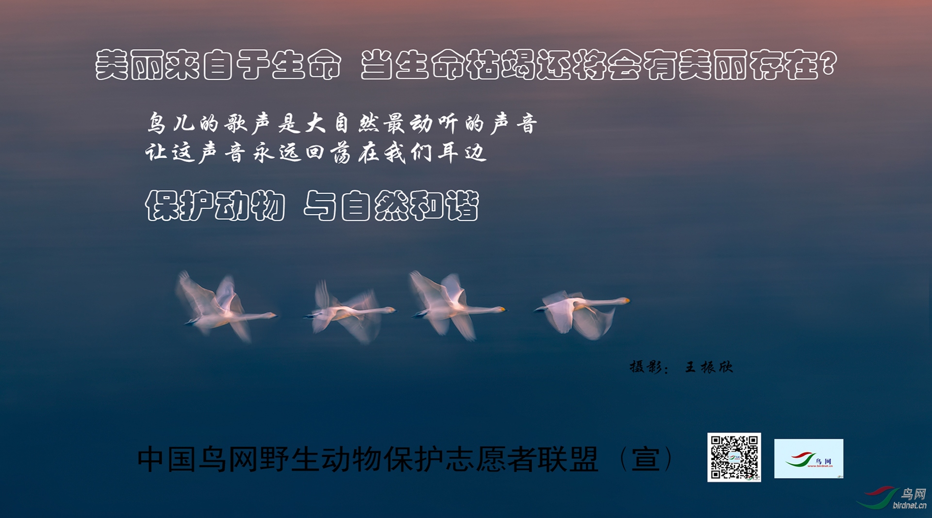 ������ ��Ȼ�ķ� 13855859898����1.jpg