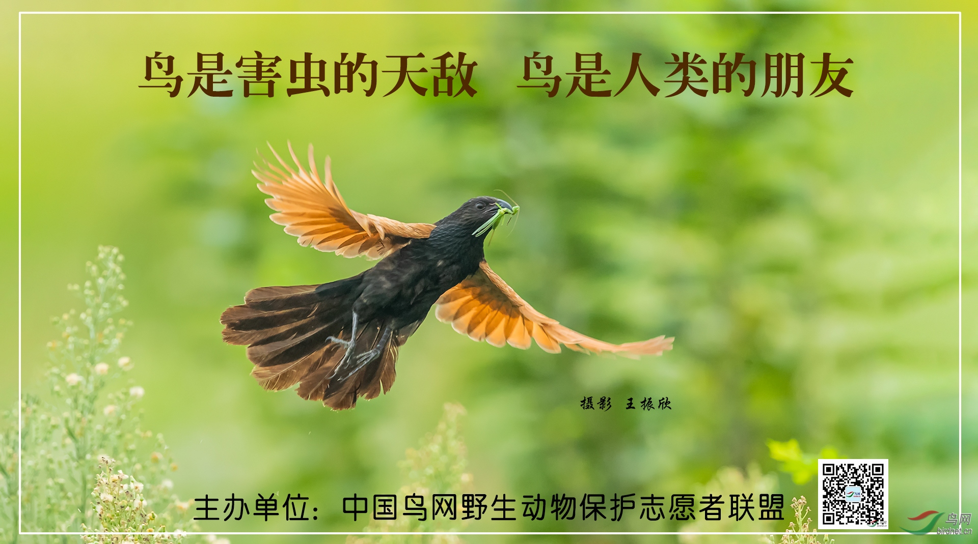 ������ ��Ȼ�ķ� 13855859898����2.jpg