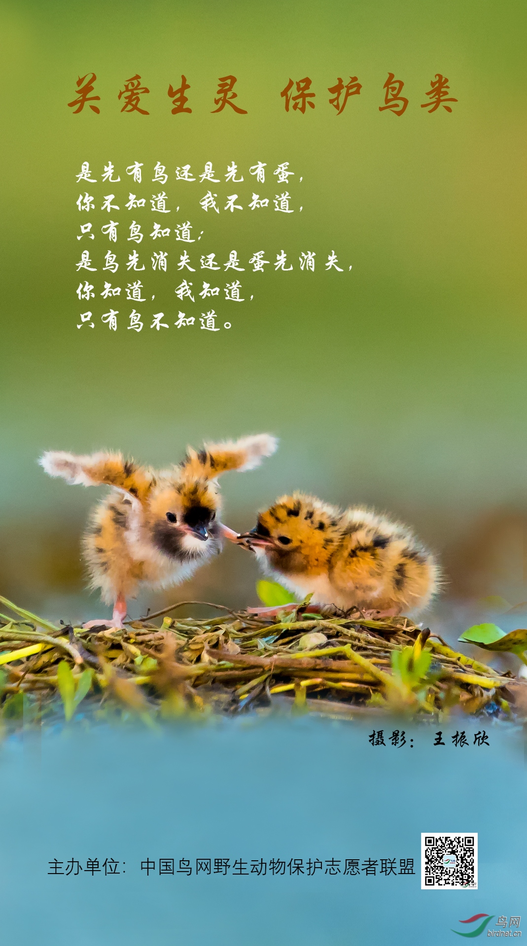 ������ ��Ȼ�ķ� 13855859898����4.jpg