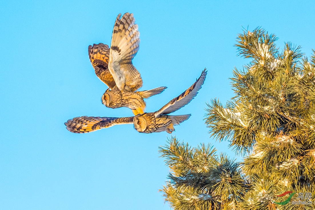 DSC_8227-2.jpg