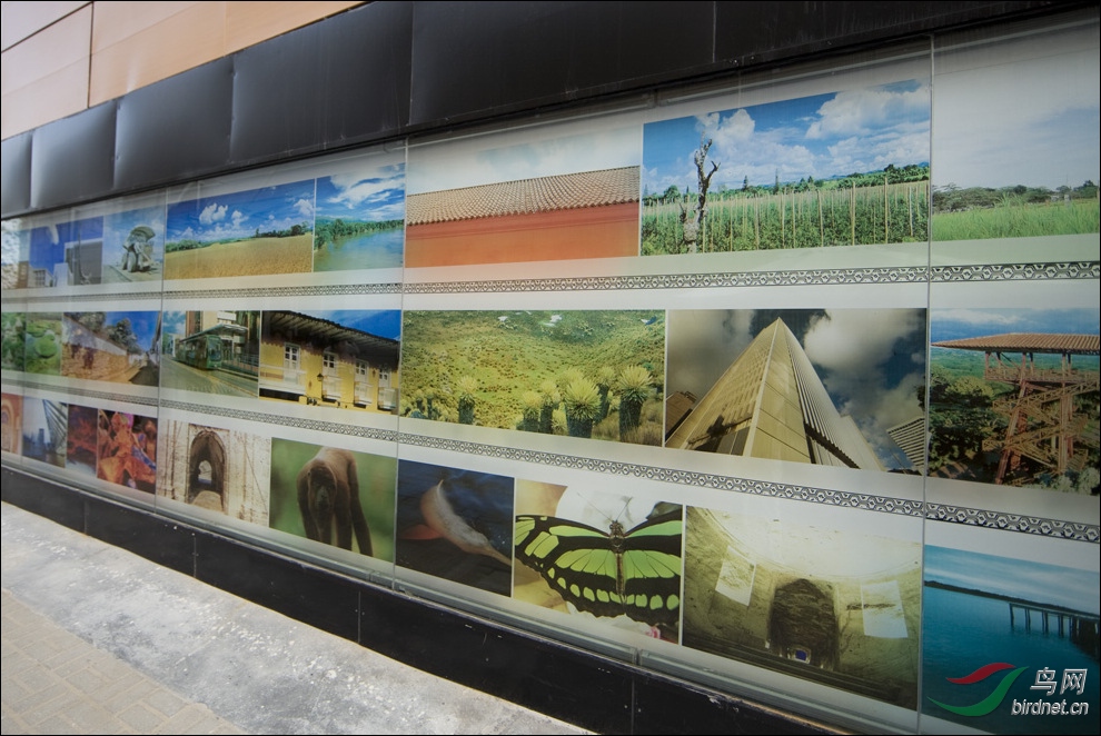21IMG_2316����԰-1.jpg