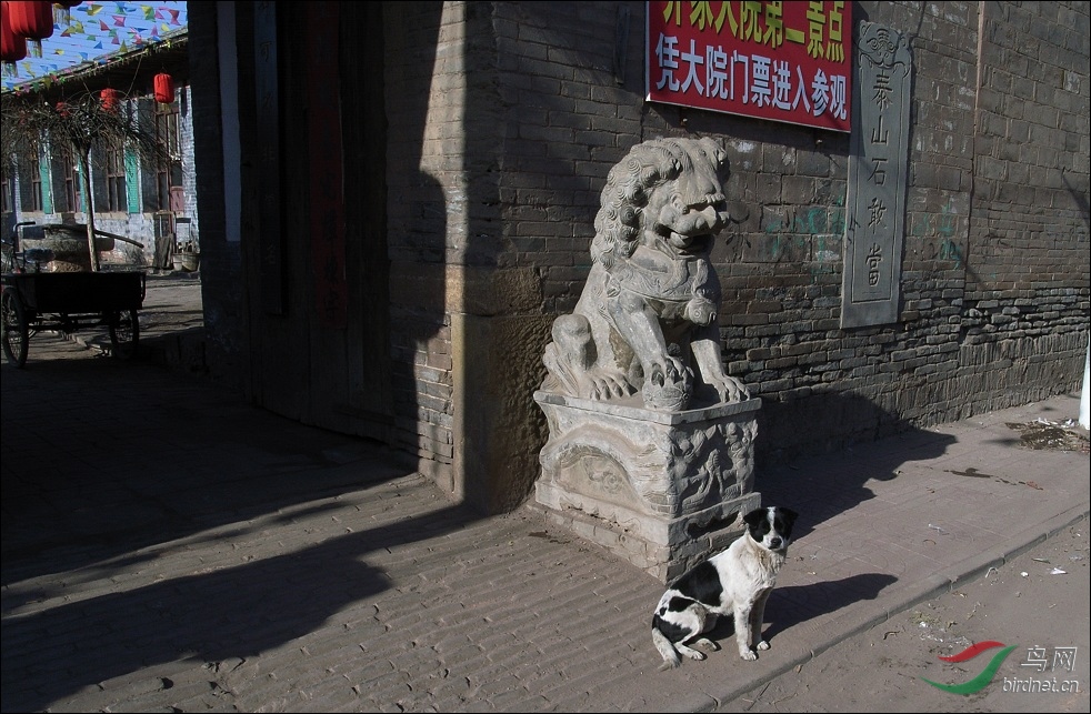 R0028430�ǼҴ�Ժ58.jpg