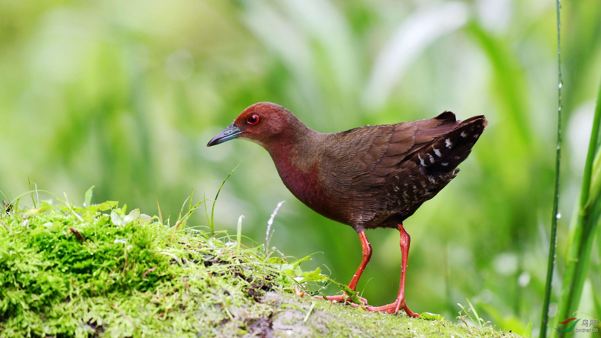 �����Ｆ 043_����.jpg