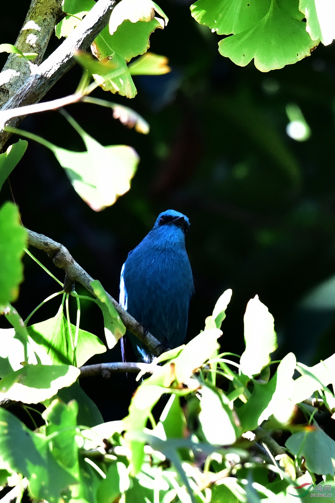 DSC_0327.JPG