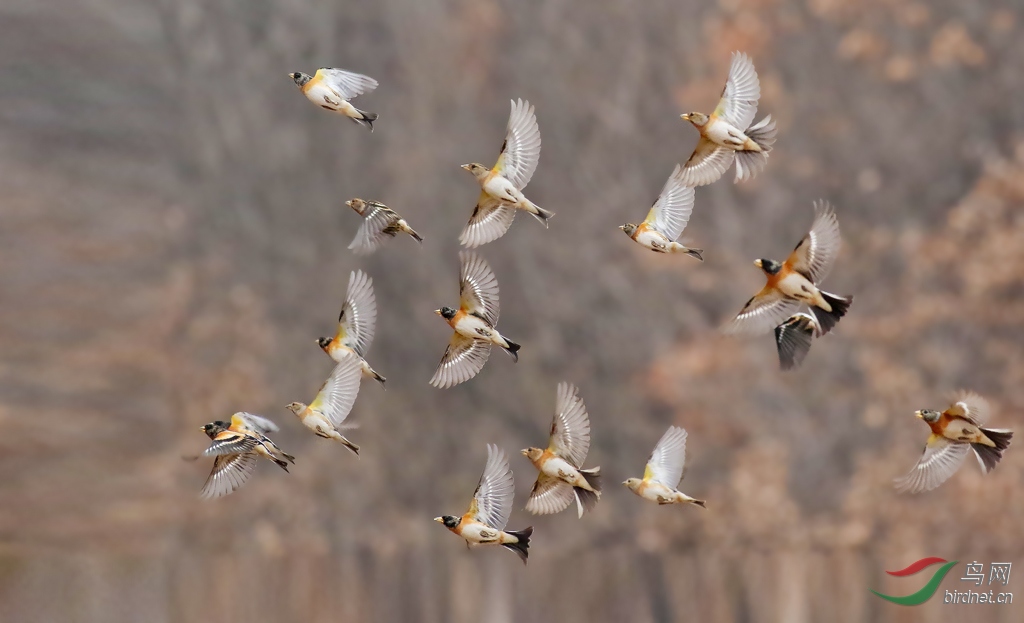 EOS 7D Mark II004014.JPG