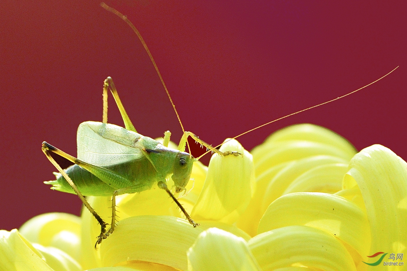 _D4S7405_20064a.jpg