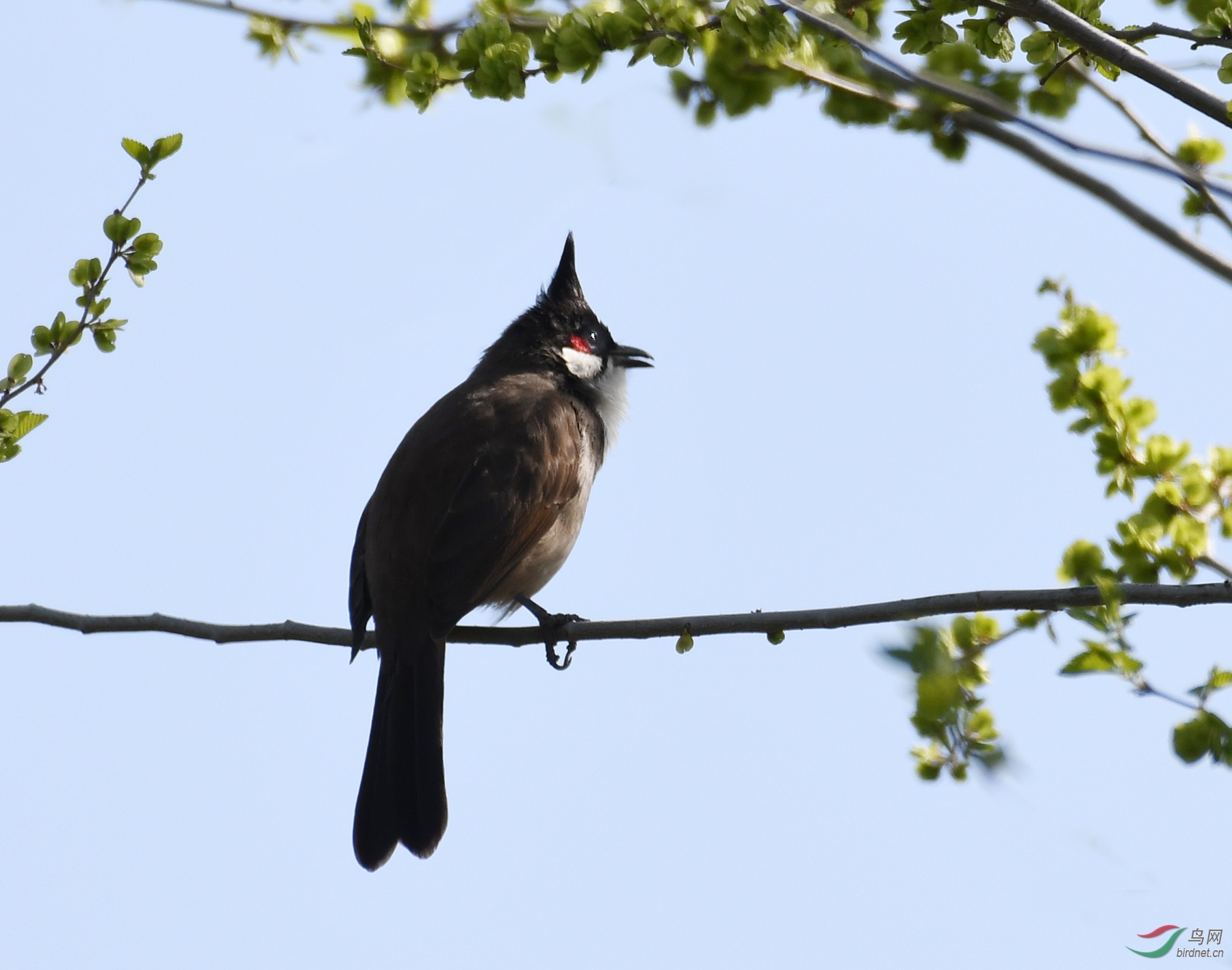 ������Ӱ 1786����.jpg