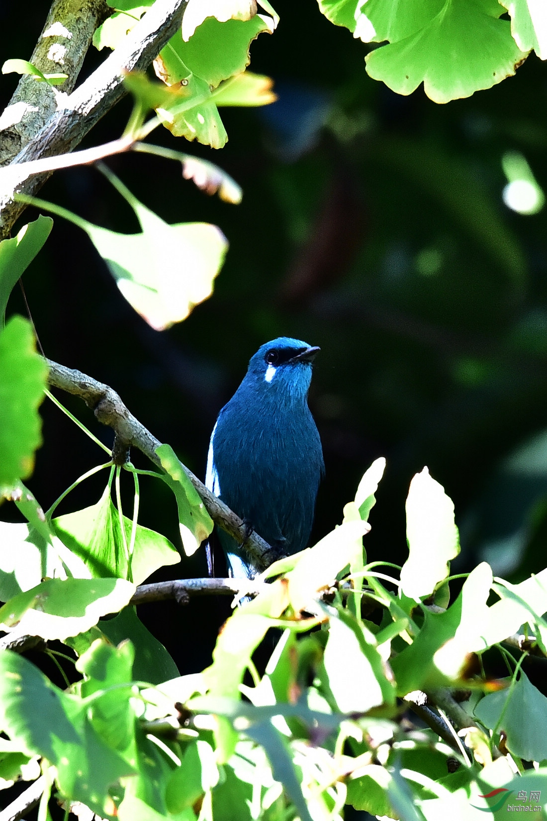 DSC_0331.JPG