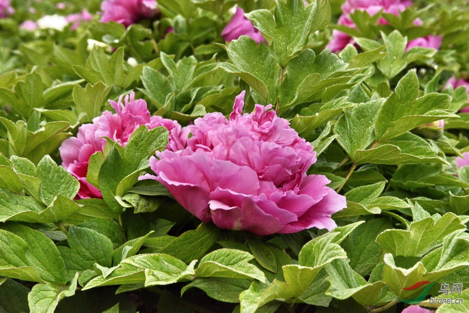 03 - ����.jpg