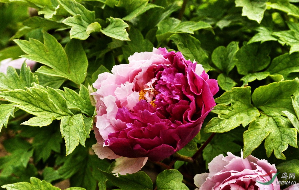 05 - ����.jpg