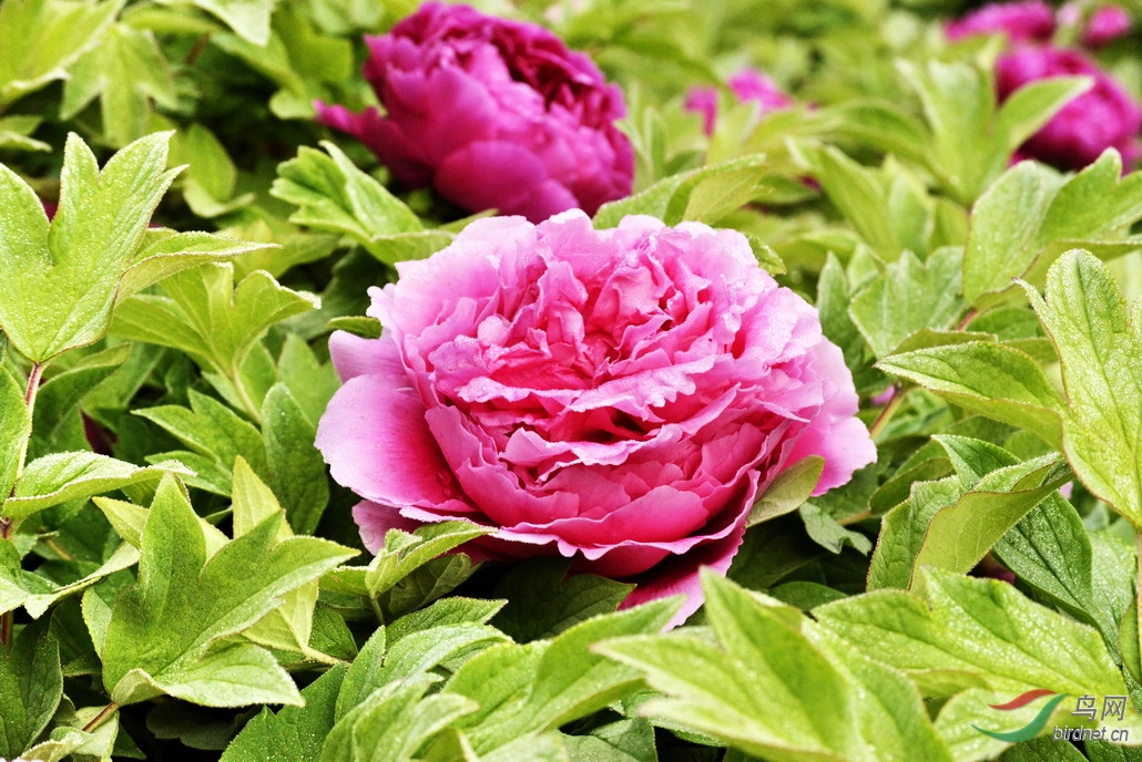 11 - ����.jpg