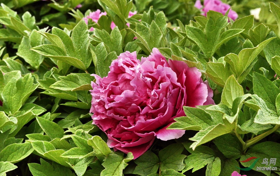 12 - ����.jpg