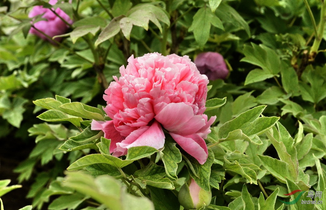 13 - ����.jpg