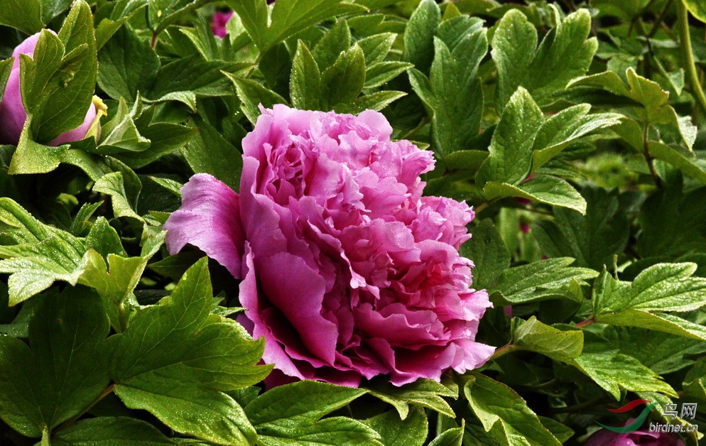 14 - ����.jpg