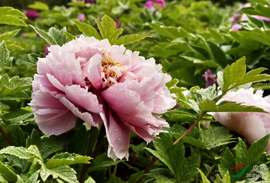 15 - ����.jpg