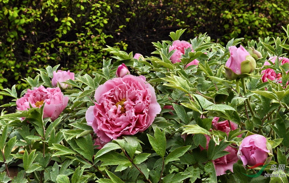 16 - ����.jpg