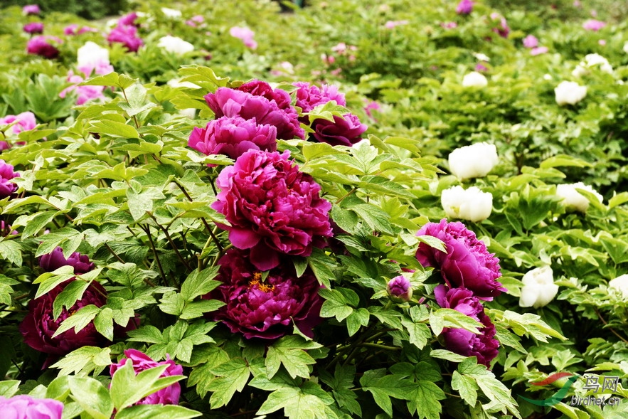 17 - ����.jpg